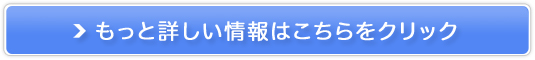 3WiMAX̔TCg